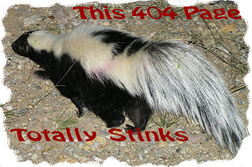 Striped Skunk Big Bend NP - from Wikipedia