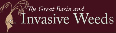 image banner for Invasive Weeds web site