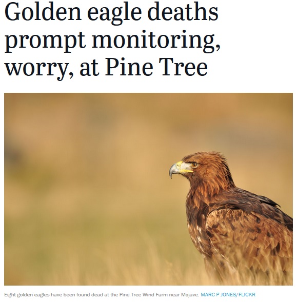 Link to News story - Golden Eagle Deaths at Pine Tree