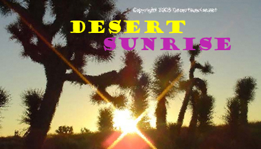 Desertsunrise Joshua Tree Banner, click to go back to Index