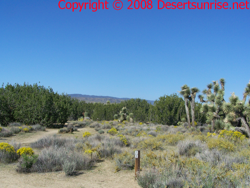 This photo shows the wooden post's which are seen throughout the park, each with a number relating to a passage in the Desert Woodland Trail Guide