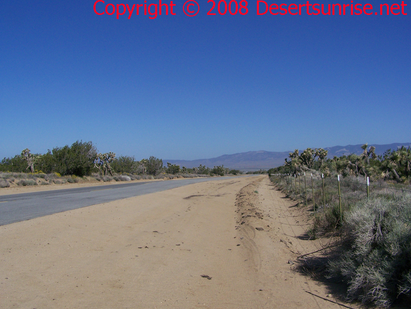 This photo was taken from the right side of Lancaster Road @ the Desert Woodland entrance